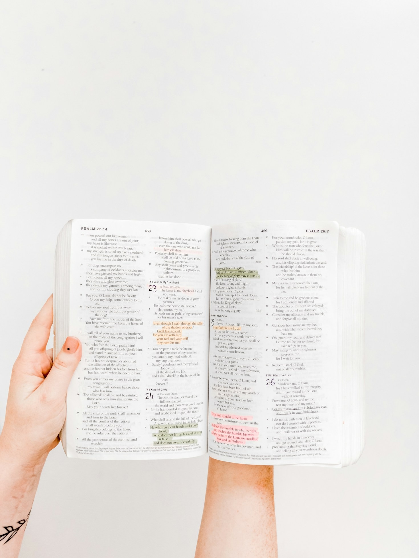La luce della Bibbia in video e articoli